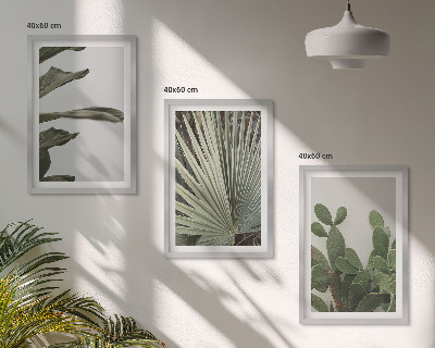 Juego de 3 cuadros Hojas de plantas tropicales en tonos pastel