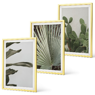 Juego de 3 cuadros Hojas de plantas tropicales en tonos pastel
