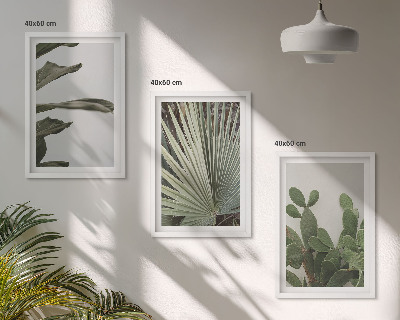 Juego de 3 cuadros Hojas de plantas tropicales en tonos pastel