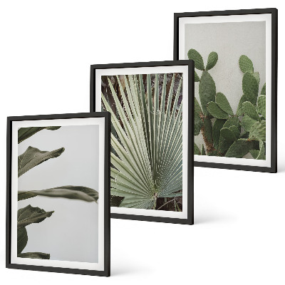 Juego de 3 cuadros Hojas de plantas tropicales en tonos pastel