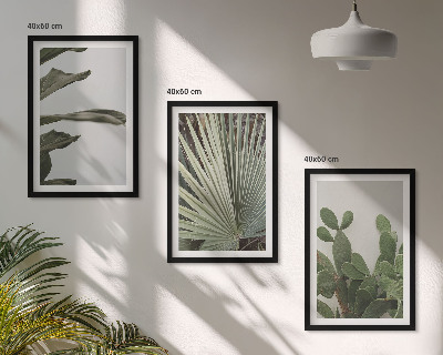 Juego de 3 cuadros Hojas de plantas tropicales en tonos pastel