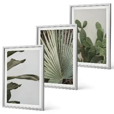 Juego de 3 cuadros con diseño de hojas de plantas tropicales en tonos pastel