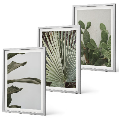 Juego de 3 cuadros Hojas de plantas tropicales en tonos pastel