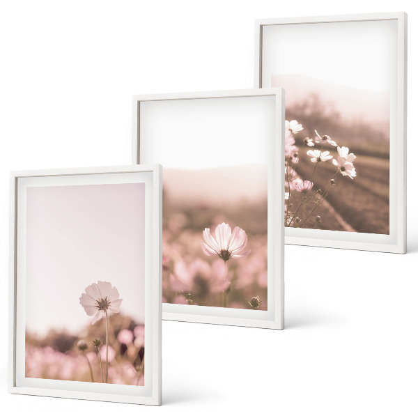 Set de 3 cuadros para salón Praderas de flores silvestres, paisajes de verano