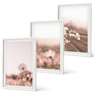 Set de 3 cuadros para salón Praderas de flores silvestres, paisajes de verano