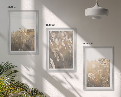 Juego de 3 cuadros Flores de césped paisajístico cálidas