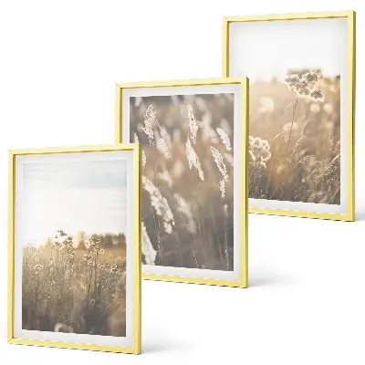 Juego de 3 cuadros con diseño de flores en paisaje cálido