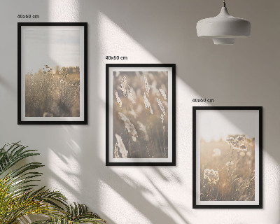 Juego de 3 cuadros Flores de césped paisajístico cálidas