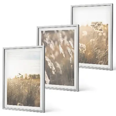 Juego de 3 cuadros con diseño de flores en paisaje cálido