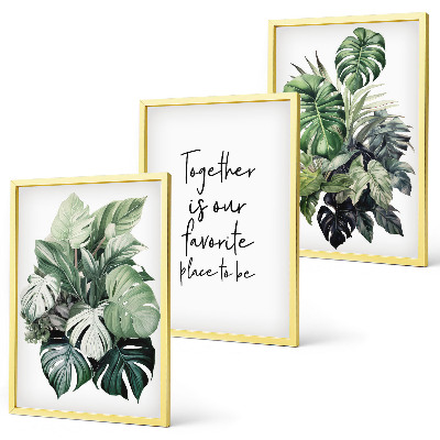 Set de 3 cuadros para salón hojas verdes de plantas tropicales