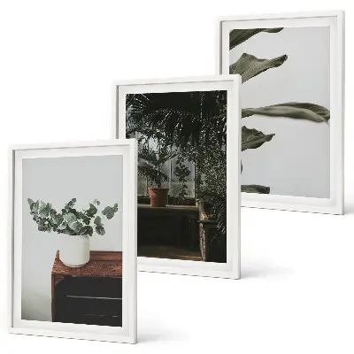 Juego de 3 cuadros con diseño de plantas rústicas en maceta