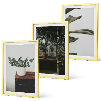Juego de 3 cuadros con diseño de plantas rústicas en maceta