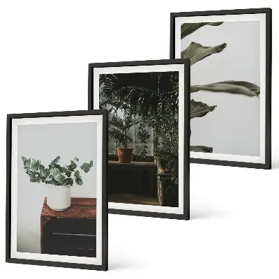 Juego de 3 cuadros con diseño de plantas rústicas en maceta