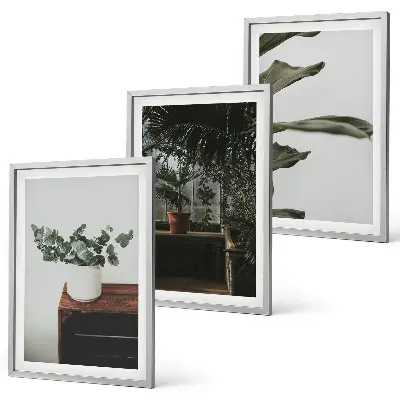 Juego de 3 cuadros con diseño de plantas rústicas en maceta