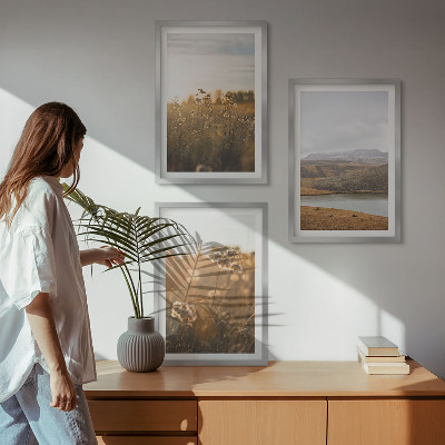 Set de 3 cuadros para salón Paisajes prados montañas lago