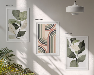 Set de 3 cuadros para salón motivos vegetales geométricos