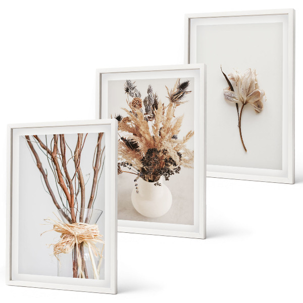 Set de 3 cuadros para salón Ramas de flores minimalistas