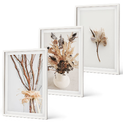 Set de 3 cuadros para salón Ramas de flores minimalistas