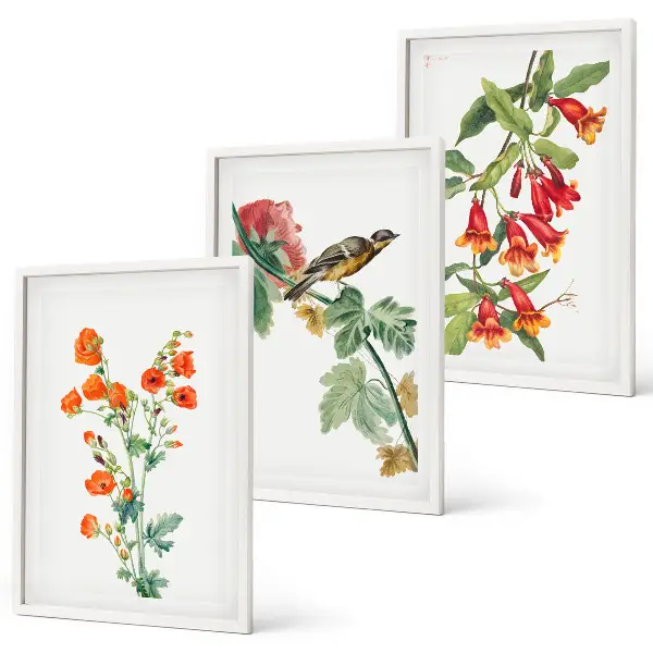 Juego de 3 cuadros con diseño de flores pintadas y un pájaro