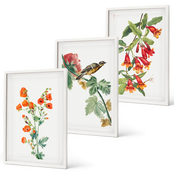 Juego de 3 cuadros Flores pintadas y un pájaro