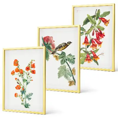 Juego de 3 cuadros con diseño de flores pintadas y un pájaro
