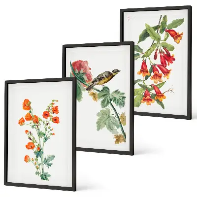 Juego de 3 cuadros con diseño de flores pintadas y un pájaro