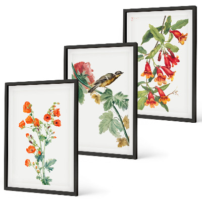 Juego de 3 cuadros Flores pintadas y un pájaro