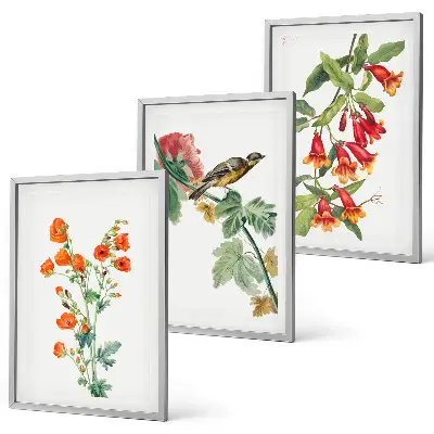 Juego de 3 cuadros con diseño de flores pintadas y un pájaro