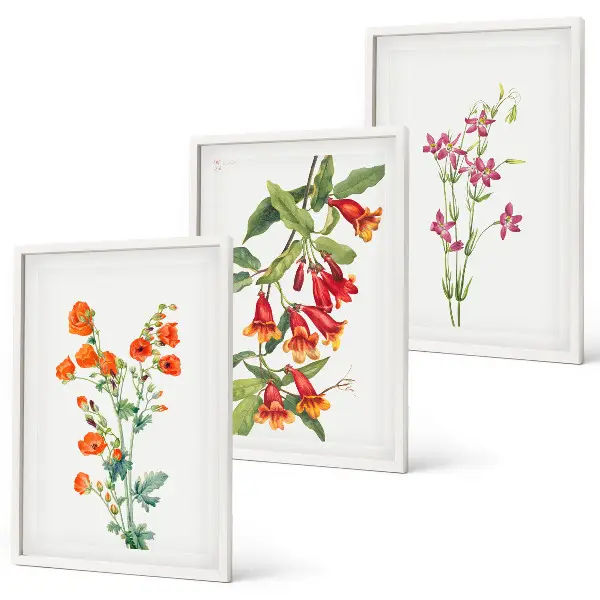 Set de 3 cuadros para salón con diseño de pintura floral retro vintage