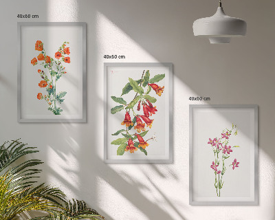 Set de 3 cuadros para salón Pintura floral retro vintage