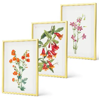 Set de 3 cuadros para salón con diseño de pintura floral retro vintage