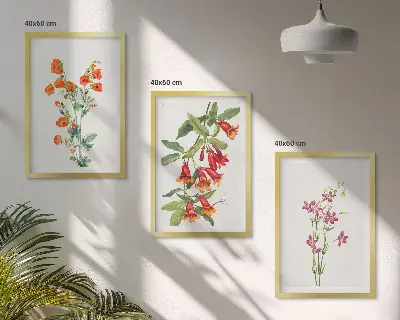 Set de 3 cuadros para salón con diseño de pintura floral retro vintage