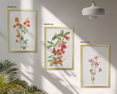 Set de 3 cuadros para salón Pintura floral retro vintage