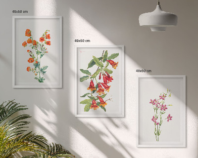 Set de 3 cuadros para salón Pintura floral retro vintage