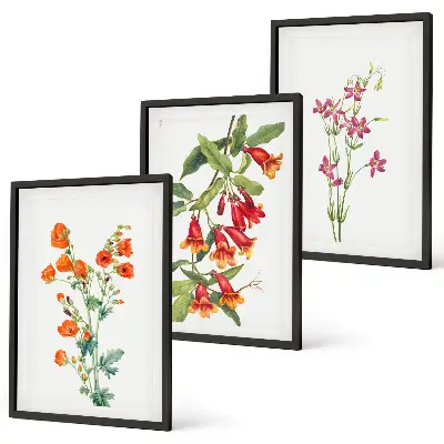 Set de 3 cuadros para salón con diseño de pintura floral retro vintage
