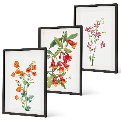 Set de 3 cuadros para salón Pintura floral retro vintage