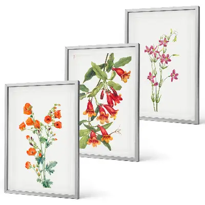 Set de 3 cuadros para salón con diseño de pintura floral retro vintage
