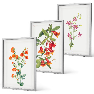 Set de 3 cuadros para salón Pintura floral retro vintage