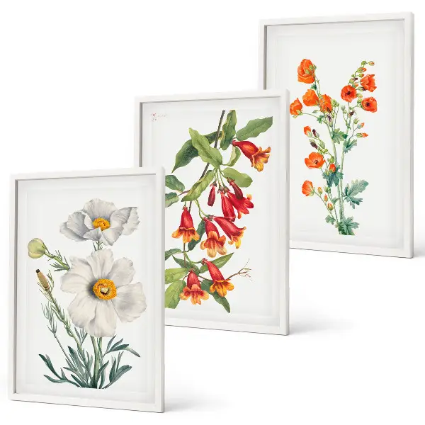 Juego de 3 cuadros con diseños de arreglos florales retro