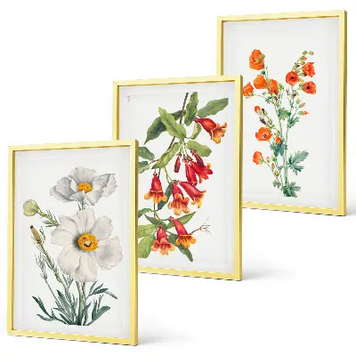 Juego de 3 cuadros con diseños de arreglos florales retro