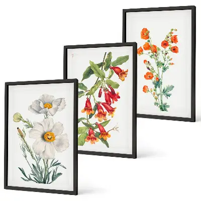 Juego de 3 cuadros con diseños de arreglos florales retro
