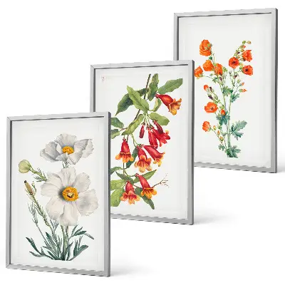 Juego de 3 cuadros con diseños de arreglos florales retro