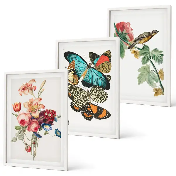 Set de 3 cuadros para salón con diseño de flores, mariposas y pájaros en tonos pastel