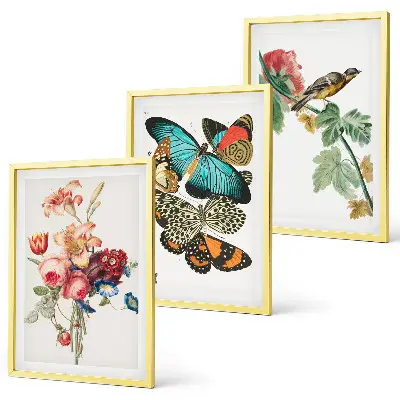 Set de 3 cuadros para salón con diseño de flores, mariposas y pájaros en tonos pastel