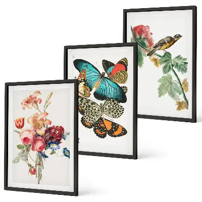 Set de 3 cuadros para salón con diseño de flores, mariposas y pájaros en tonos pastel