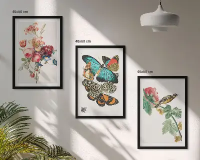 Set de 3 cuadros para salón con diseño de flores, mariposas y pájaros en tonos pastel