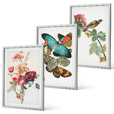 Set de 3 cuadros para salón con diseño de flores, mariposas y pájaros en tonos pastel