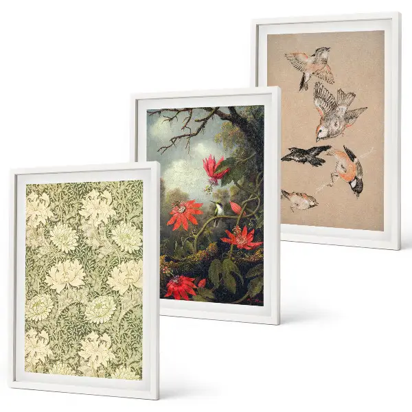 Juego de 3 cuadros con diseño de flores y pájaros en la naturaleza