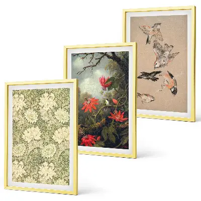 Juego de 3 cuadros con diseño de flores y pájaros en la naturaleza