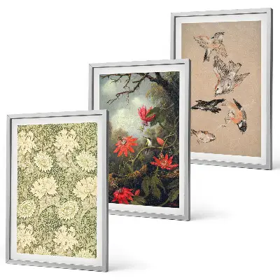 Juego de 3 cuadros con diseño de flores y pájaros en la naturaleza